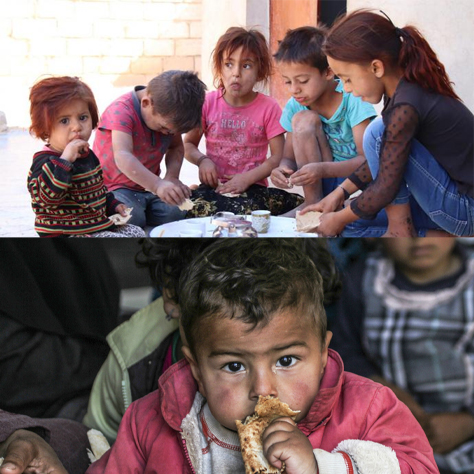 Syria Donation
